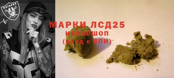 PSILOCYBIN Киренск