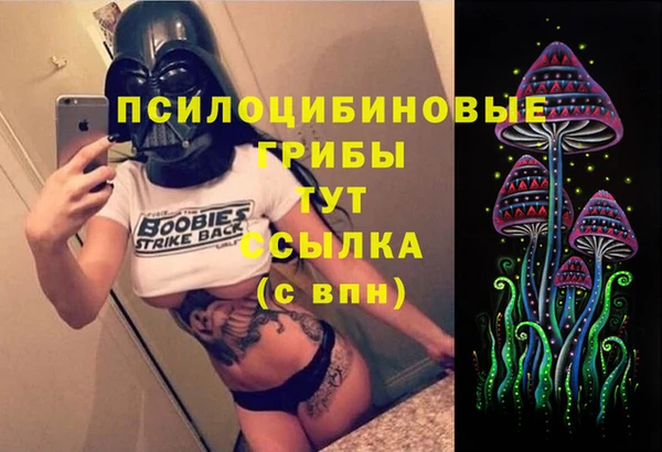 PSILOCYBIN Киренск