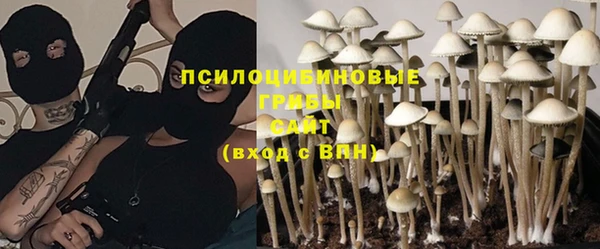 a pvp Кинешма