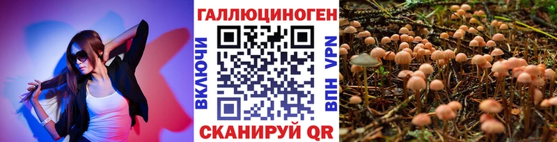 Купить закладки Ясногорск Псилоцибиновые грибы MAGIC MUSHROOMS
